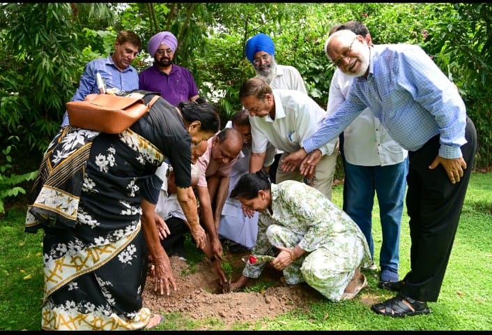 वरिष्ठ पत्रकारों ने पौधारोपण किया