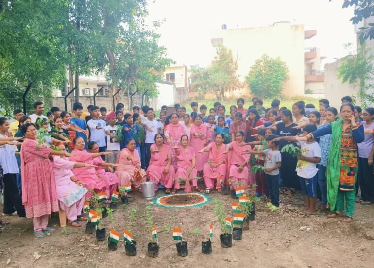 बच्चों को फल फूल, तुलसी, नीम, अजवाइन, एलो वेरा तथा अनेक औषधीय पौधे बांटे पिंक ब्रिगेड ने