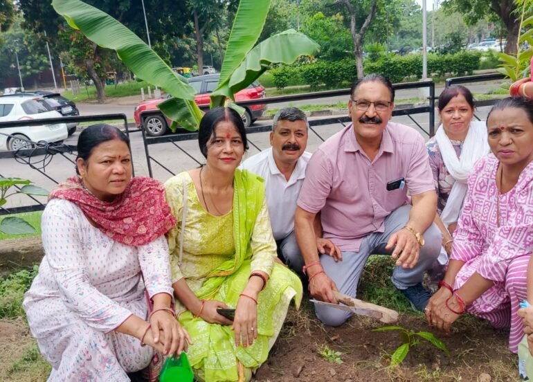धारी देवी महिला शक्ति प्रकोष्ठ ने पौधरोपण किया