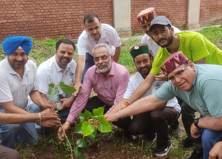हिमाचल महासभा द्वारा सीसीईटी (डिप्लोमा विंग) में 100 फलदार व छायादार पौधे रोपित किए 