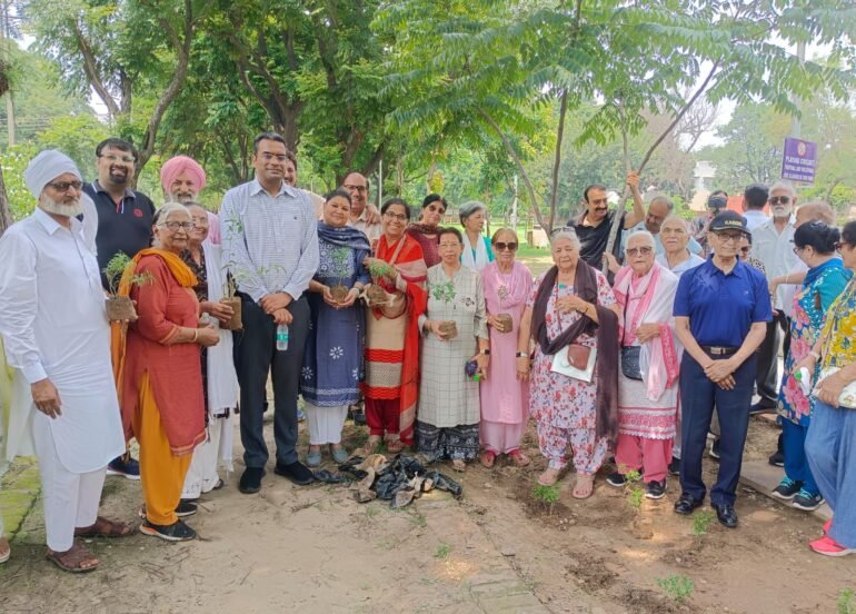 पौधरोपण अभियान के अंतर्गत लगाए 100 पौधे